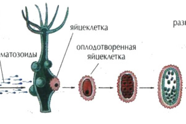 Кракен официальный сайт 2krnk cc