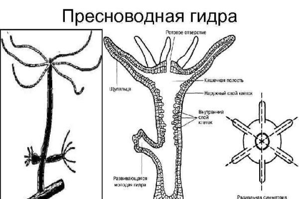 Кракен шоп интернет